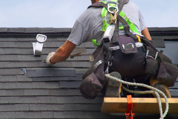 Storm Damage Siding Repair in Holiday Shores, IL