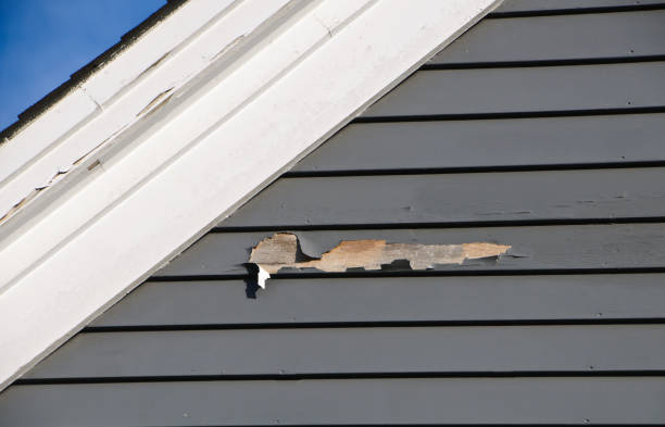 Best Wood Siding Installation  in Holiday Shores, IL